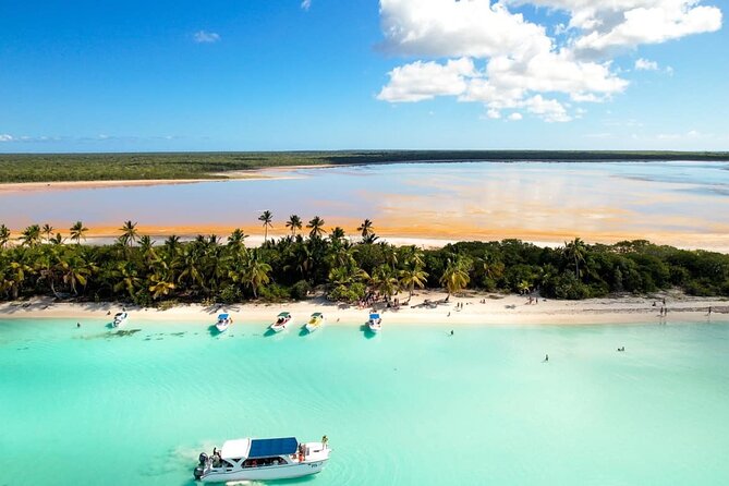 Tour to Isla Saona From Punta Cana with Transportation and Lunch - Final Thoughts: Is It Worth It?