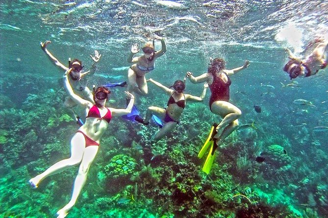 Catamaran Catalina Island Day Trip with Lunch - The Sum Up