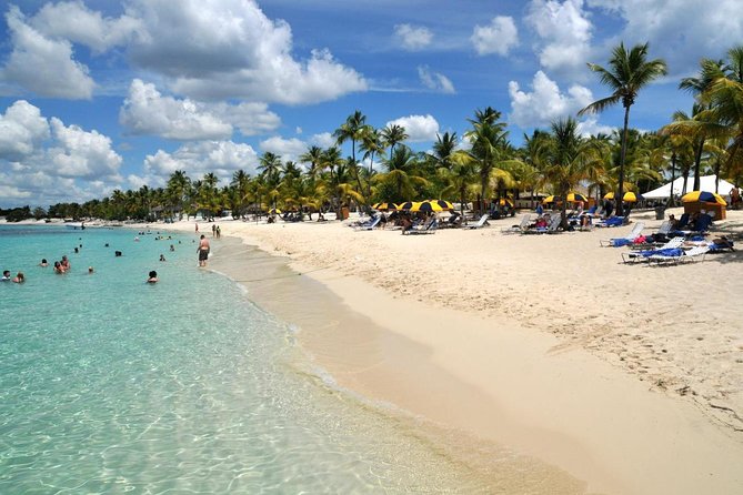 Catamaran Catalina Island Day Trip with Lunch - Key Points