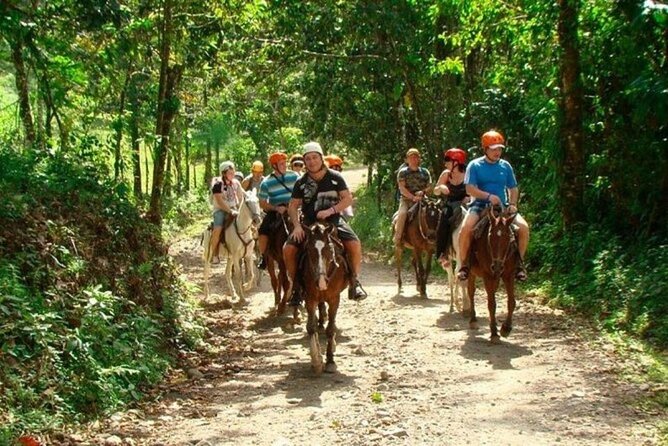 Samana+Baracardi Island Tour And Lemon Jump From PUJ - Horseback Riding to El Limon Waterfall