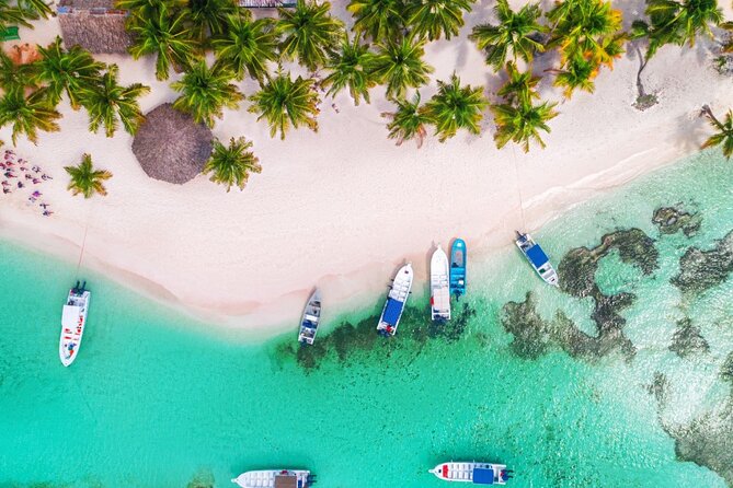 Boogie and ATV Outdoor Tour in Punta Cana - The Value and Potential Downsides