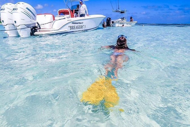 Private Experience in Punta Cana by Speedboat with Transportation - In-Depth Look at the Itinerary and Experience