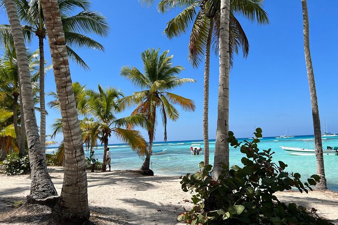 Saona Island and Chavon River Tour with Lunch and Drinks - Why This Tour Offers Good Value