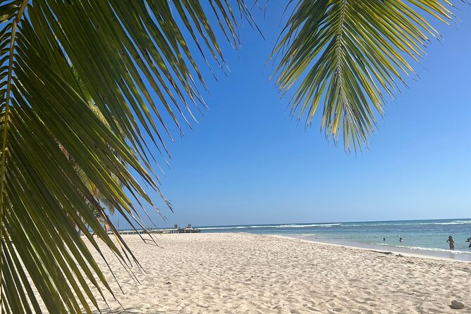 Saona Island and Chavon River Tour with Lunch and Drinks - Final Thoughts