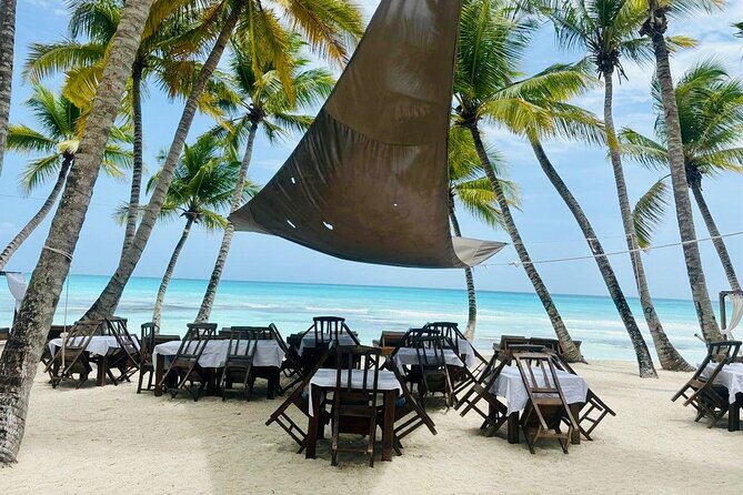 Saona Island Full Day Tour with Buffet Lunch, Paella, & Open Bar - Who Is This Tour Best For?