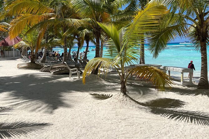 Saona Island Full Day Tour with Buffet Lunch, Paella, & Open Bar - Final Thoughts