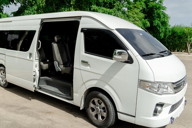 Punta Cana Private One-Way or Round-Trip Airport Transfers - Who Is This Transfer Best For?