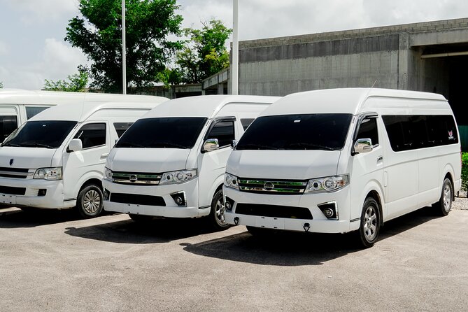 Punta Cana Private One-Way or Round-Trip Airport Transfers - Key Points