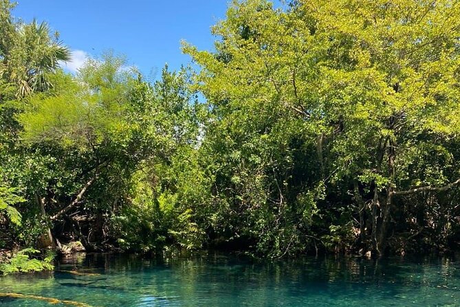 Blue Lagoon Tour with Catamaran Cruise and Snorkeling - Who Will Love This Tour?
