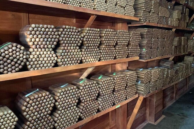 Punta Cana Safari Tour - What Travelers Say