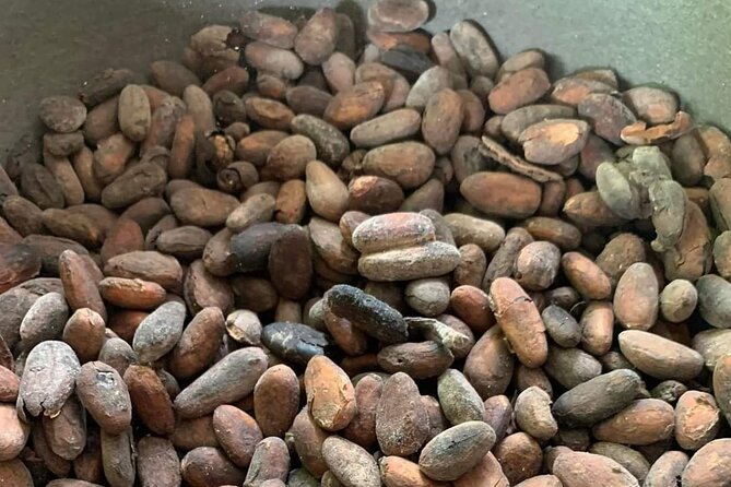 Punta Cana Safari Tour - Practical Details and Considerations