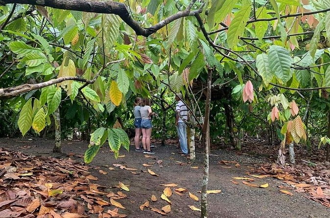 Punta Cana Safari Tour - FAQ