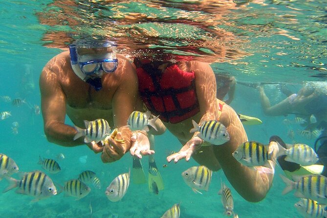 Catamaran Party Boat And Snorkeling Experience - Who Would Love This Tour?