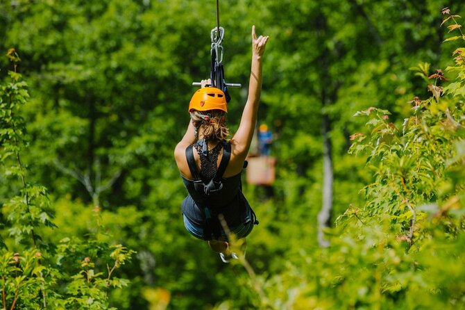 Fun Park Adventure Tour - Who Will Love This Tour?