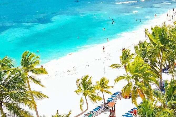 Saona Relax Tour - The Transport and Group Size