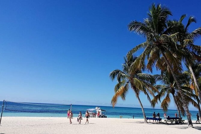 Saona Relax Tour - The Itinerary: What to Expect at Each Stop