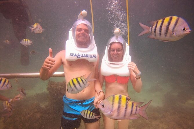 Marine Adventure Tour - In-Depth Review of the Marine Adventure Tour