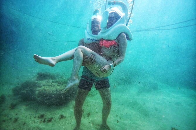 Marine Adventure Tour - The Sum Up: Who Should Consider This Tour?