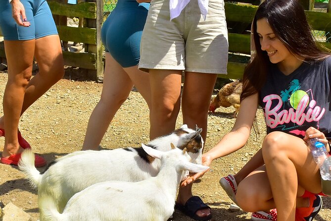 Vip La Hacienda Park Tour - Why We Think This Tour Works