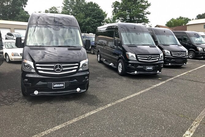 Punta Cana: Airport Transfers To Hotels For Group - The Practicality and Comfort of Punta Cana Airport Transfers for Groups