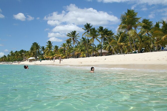 Punta Cana: Catalina Island Diving And Snorkeling - Why This Tour Works for Certain Travelers