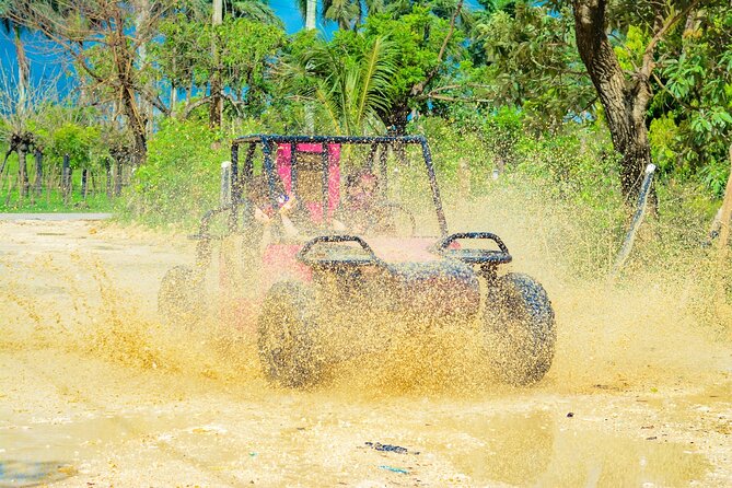Horseback Riding and Buggy and Macau Cave and Beach Tour - The Bottom Line