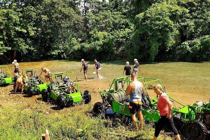 Punta Cana Zip Line, horse riding & Buggy - An In-Depth Look at the Punta Cana Adventure Combo