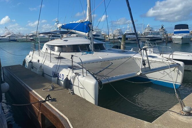 Private Tour to Saône Island - Who Will Love This Tour?