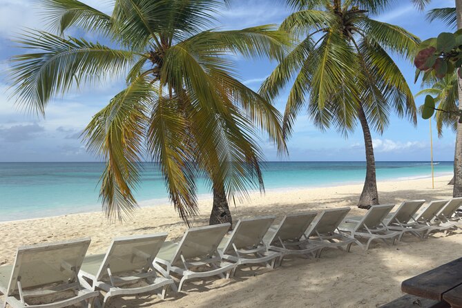 PRIVATE VIP tour Saona Island with Snorkeling, Starfish, Turtles - FAQ – Practical Questions Answered