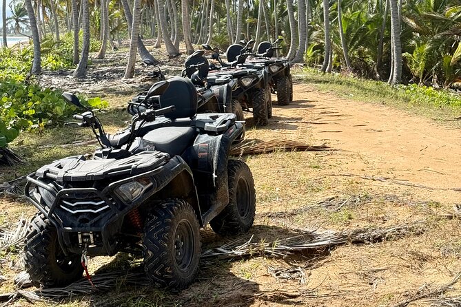 Punta Cana ATV: Jungle, Beach & River Small Group Tour - FAQs