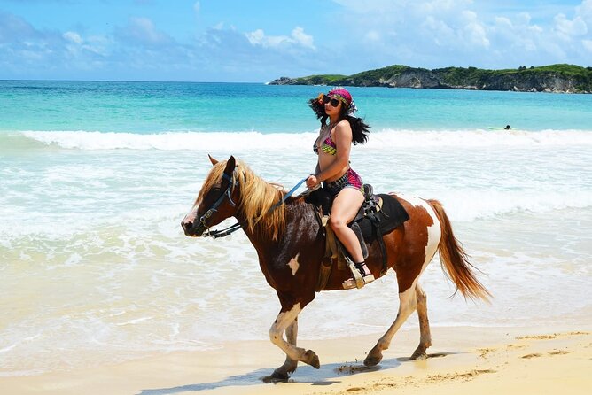 Jungle and Beach Horse Ridding round trip transportatin. - Practical Details and Value