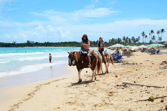 Jungle and Beach Horse Ridding round trip transportatin. - Who Should Book This Tour?