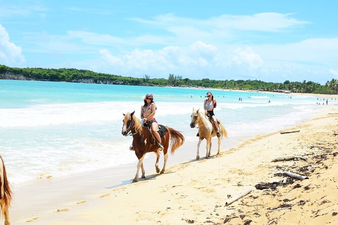 Jungle and Beach Horse Ridding round trip transportatin. - Final Thoughts