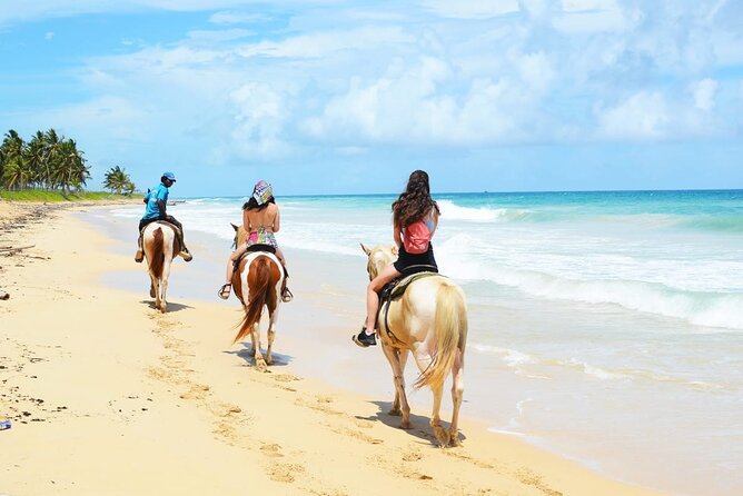 Jungle and Beach Horse Ridding round trip transportatin. - Frequently Asked Questions