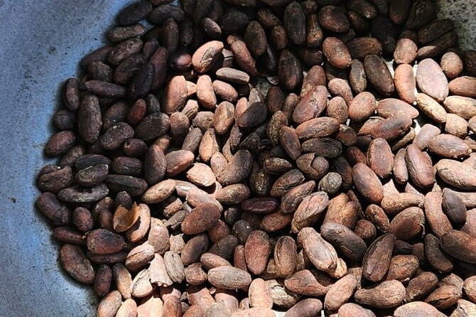 Horses, Buggy, and plantation in Chocaci Ranch - FAQ