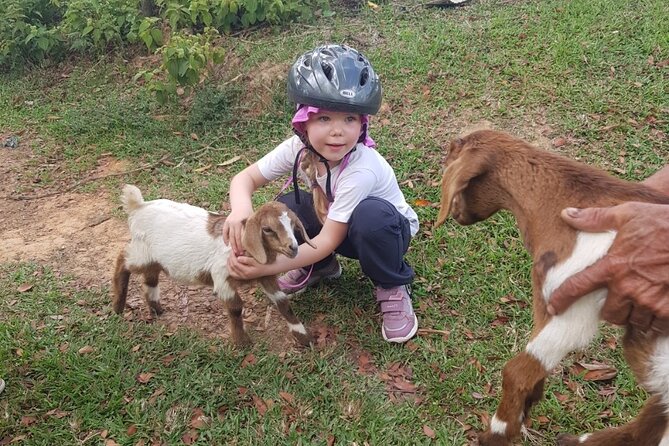 The Ultimate Dominican Horseback Riding Adventure - Authentic Traveler Perspectives