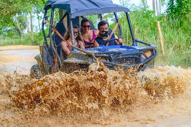 Punta Cana Buggy Adventure Playa Macao and Dune with Safari. - The Experience: A Deep Dive into the Adventure