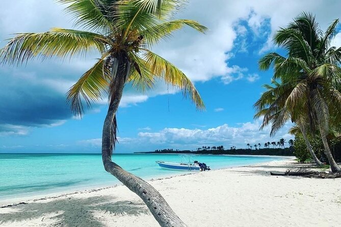 Experience Full Day Tour of Tropical Bliss at Isla Saona - The Itinerary in Detail