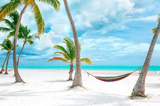 Saona Island Full Day Adventure From Punta Cana & Bavaro - Who Will Enjoy This Tour?