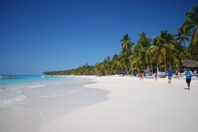 Saona Island Full Day Adventure From Punta Cana & Bavaro - FAQ