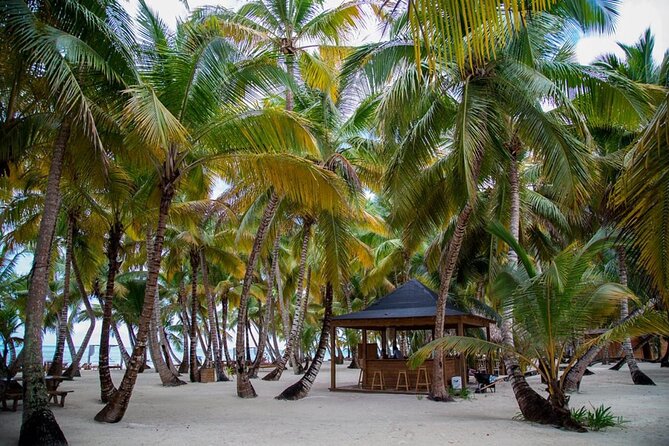 Saona Island Full Day Adventure From Punta Cana & Bavaro - Value and Price Analysis