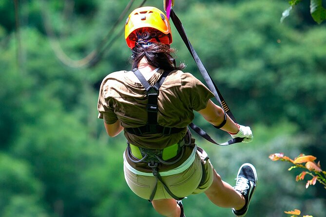 Zip Line Adrenaline Adventure Punta Can Located in Anamuya forest - Key Points