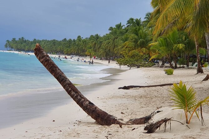 Catalina Island Full Day From Punta Cana - Experience the Best of Catalina Island from Punta Cana