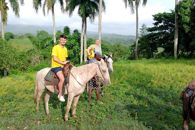 All Inclusive Full Day Truck Safari - A Deep Dive into the Full-Day Truck Safari Experience