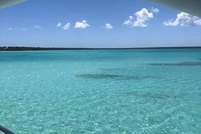 Catalina Island/DIVING and Sailboat Adventure / V.I.P SERVICES - A Detailed Look at What This Tour Offers