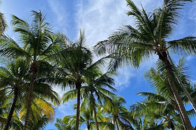 Catalina Island/DIVING and Sailboat Adventure / V.I.P SERVICES - FAQ