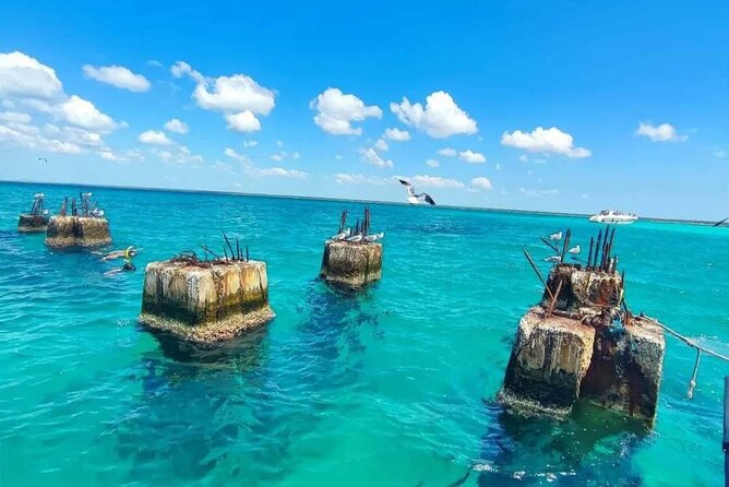 Samana Los Haitises Water fall Cayo Leventado - A Deep Dive into the Samana Los Haitises Waterfall Cayo Leventado Tour