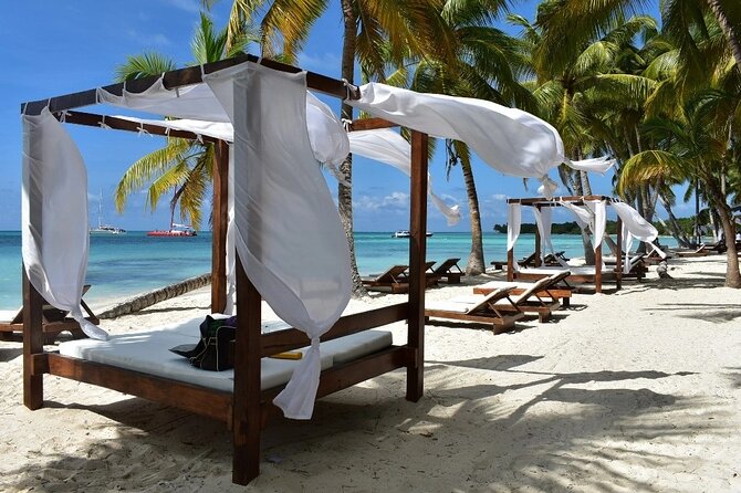 Saona Island From Punta Cana - What to Expect: Practical Details and Tips