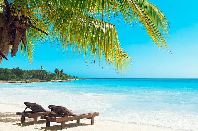 Saona Island From Punta Cana - Final Thoughts: Why Choose this Tour?