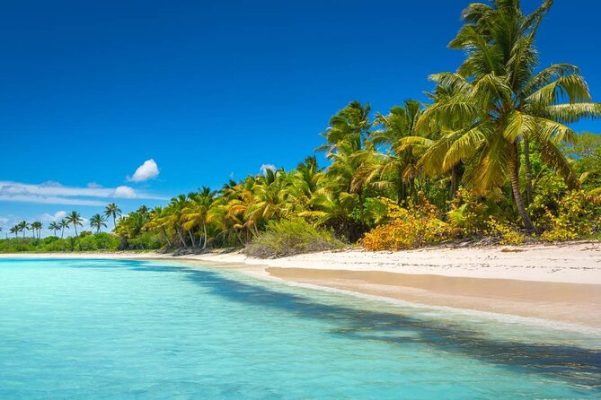 Explore Saona Island from Punta Cana Beaches Nature and Party - A Detailed Look at the Saona Island Experience